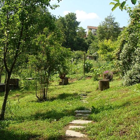 Appartamento In Monferrato Di Dominga Portacomaro المظهر الخارجي الصورة
