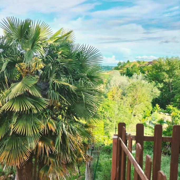 Appartamento In Monferrato Di Dominga Portacomaro المظهر الخارجي الصورة
